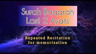 Surah Baqarah Last 3 Ayahs  Beautiful Recitation Repeated Easy Memorization  Learn Quran in Sleep