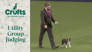 Utility Group Judging  Crufts 2024