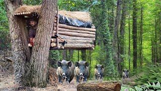 Building of a flying shelter  Great way to hide from a wild boar