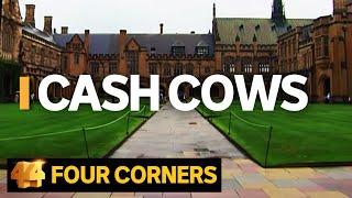 Cash Cows Australian universities making billions out of international students  Four Corners