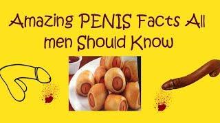 AMAZING PENIS FACT ALL MEN SHOULD KNOW ABOUT THIS.