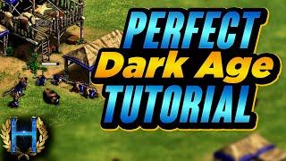 How To Do The PERFECT Dark Age  AoE2