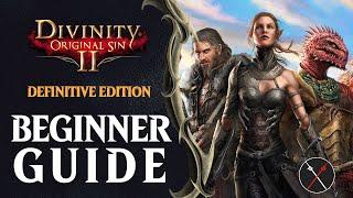 Beginners Guide For Divinity Original Sin 2 Definitive Edition