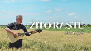 Miroslav Škoro - Žito raste Official video