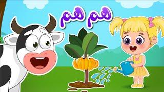 أغنية البقرة هم هم  اغاني اطفال عالم فلافي  Fluffy World