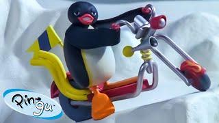 Pingu and the New Scooter   Pingu - Official Channel  Cartoons For Kids