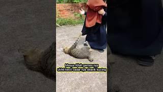 Cadar ukhti kecil ditarik kucing. gemes nya ukhti kecil sudah nyaman bercadar