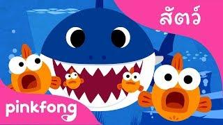 ลูกฉลาม  เพลงสัตว์  พิ้งฟองPinkfong เพลงและนิทาน