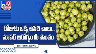 రోజుకు ఒక్క ఉసిరికాయ చాలు  Vitamin C wonder Amla has many health benefits  - TV9