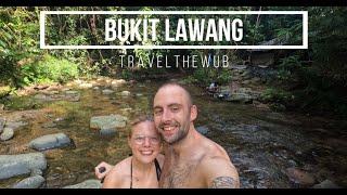 Bukit Lawang Sumatra Indonesië - Wereldreis vlog #26