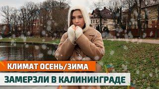 Как ВЫЖИТЬ ЗИМОЙ в КАЛИНИНГРАДЕ дождь ветер холод. Погода Калининградской области