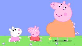 Baby Peppa Pig and Baby Suzy Sheep   Peppa Pig Official Full Episodes