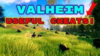 VALHEIM  12 Useful CheatsConsole Commands