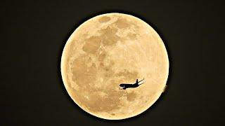 Full Moon Boeing 737 crossing By Nikon Coolpix p950.