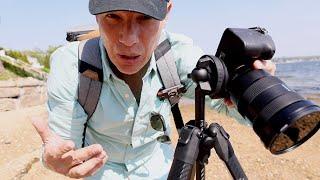 Peak Design Travel Tripod Review NOT sponsored