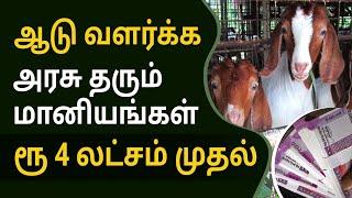 Best Subsidy Schemes for Goat Farming  Government Subsidy Schemes in 2022  Bala Saraswathi