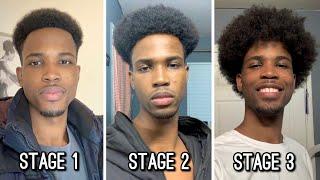 How To Grow A Afro In Just 4 Steps - AFRO JOURNEY FOR BEGINNERS  What To Do And What To Expect