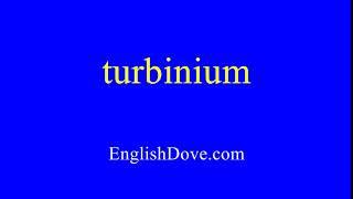 How to pronounce turbinium in American English.