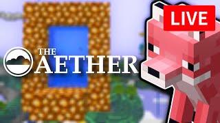 Playing Minecraft Aether for the first time