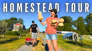 EVERYTHING on Our 5 12 Acre Homestead + harvesting the BIGGEST butternut squash ever