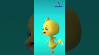 Pollito Pío #videos #cancionesinfantiles #videoshort #niños