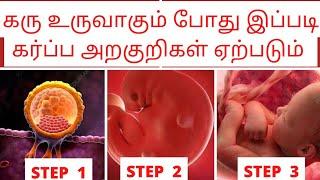 early pregnancy symptoms in tamil by doctorகரு உருவாதல் அறிகுறிimplantation symptoms in tamil