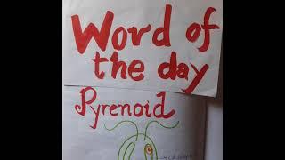 #Pyrenoids #biologyvocabulary #biologyshorts