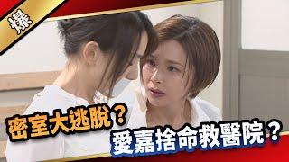 《八點檔搶先爆》愛的榮耀 EP179 密室大逃脫？ 愛嘉捨命救醫院？