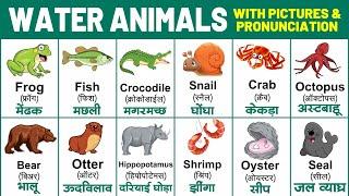 Water animals with spelling  Sea animals pronunciation  water animals name with picture