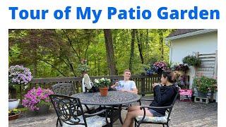 TOUR OF MY PATIO GARDEN for the Summer