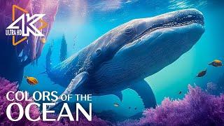 The Ocean 4K  The Beauty and Diversity of Marine Life -  Relaxation & Calming Music