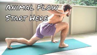 Animal Flow Workout - 15 Minute Bodyweight Workout Follow Along