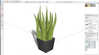 SketchUp tutorial modern 3d plant sketchup model