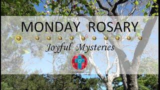 Monday Rosary • Joyful Mysteries of the Rosary  June 3 2024 VIRTUAL ROSARY - MEDITATION