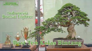 BEST TEN KELAS BINTANG PAMNAS BONSAI JEPARA 2022  INDONESIA BONSAI FIGHTER