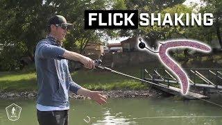 How To Fish A Flick Shake  Finesse Fishing Tips from LakeForkGuy