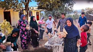 All together Farida joins Dooras family to help with construction