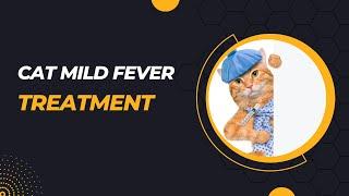 Cat Mild Fever Treatment - Quick Guide