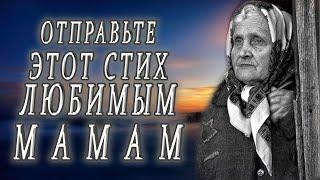 Любите и берегите матерей Трогательный стих о маме до слёз