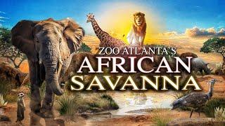 Zoo Tours Ep. 100 Zoo Atlantas NEW & IMPROVED African Savanna