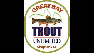 Brook Trout Release 2020 - Cocheco River - Trout Unlimited #613 Seacoast New Hampshire