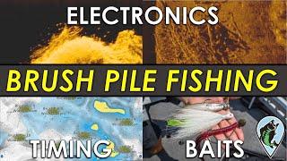 Complete Guide to Brush Pile Fishing  Sonar Images Areas Baits Timing and More for Bass