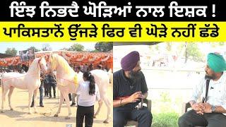 ਇੰਝ ਨਿਭਦੈ ਘੋੜਿਆਂ ਨਾਲ ਇਸ਼ਕ  Punjabi News Corner