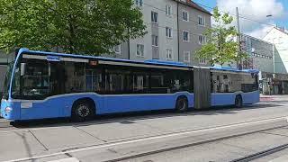 Trams und Buse am Pasinger Rathaus