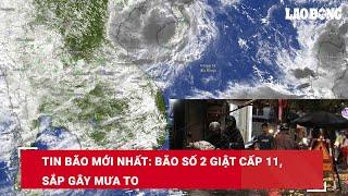 Tin bão mới nhất Bão số 2 giật cấp 11 sắp gây mưa to  Báo Lao Động