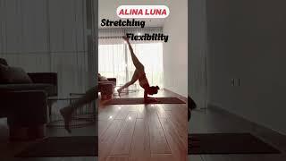 Morning Yoga Flexible Stretching Splits #short