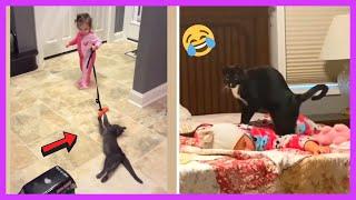 Best Baby And Cat Funny Videos  #44  Compilation Of The Best Videos Of Kittens And Babies