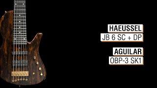Haeussel JB 6 SC + 6 DP + Aguilar OBP-3 SK1 - Maruszczyk Sputnik 6a-26 34