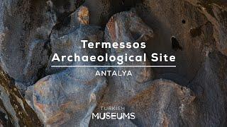 Termessos Archaeological Site Antalya