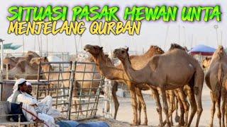 MELIHAT SUASANA PASAR HEWAN QURBAN UNTA SAPI DAN KAMBING